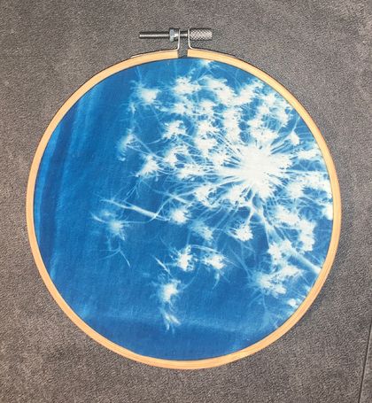 Queen Anne’s Lace cyanotype sun print on fabric